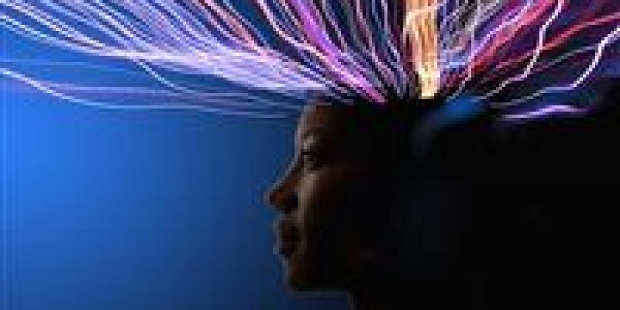 تعدد اللغات بفكرك باللي فات.. الدرع السحري لحماية الدماغ والجسم من الشيخوخة