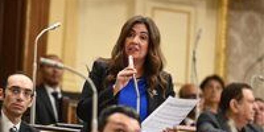 النائبة أميرة العادلي لـ لميس الحديدي: وعي المصريين أقوى من المال السياسي.. والطبقة الوسطى لا تُشترى