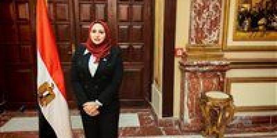 شيرين صبري: توجيهات الرئيس السيسي تؤكد حماية إرادة المواطنين ونزاهة الانتخابات