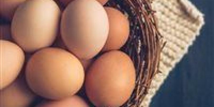 سعر طبق البيض يقترب من 100 جنيه… والمنوفي يحذّر: انهيار الأسعار يهدد خروج آلاف المربين