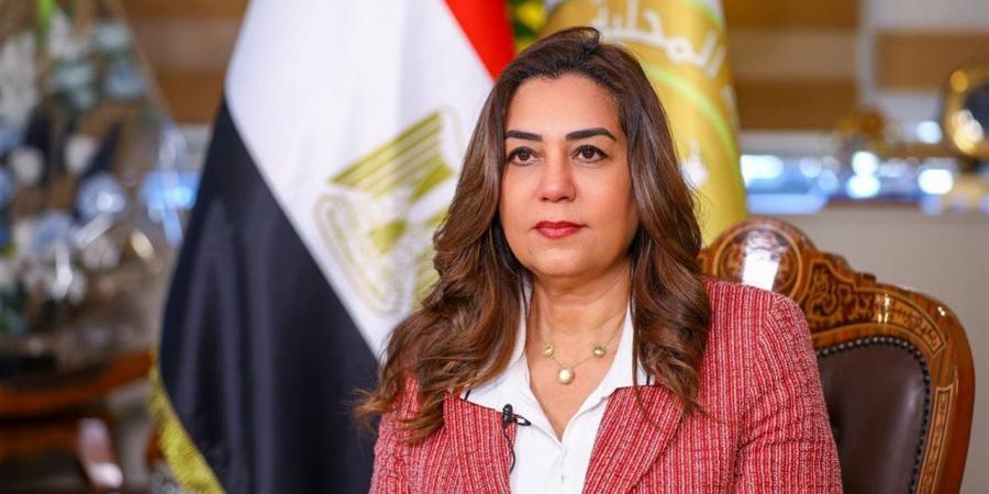 وزيرة التنمية المحلية تبحث مع محافظ شمال سيناء الموقف التنفيذي للمشروعات التنموية لخدمة المواطنين