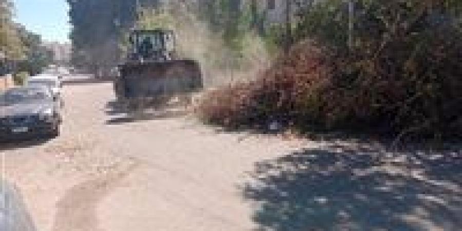 حي جنوب الغردقة يواصل مجهوداته في رفع مخلفات الأشجار بمبارك ٥ ضمن خطة تحسين المظهر الحضاري