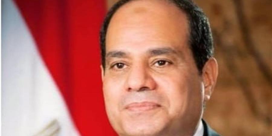 "مصر السلام" ترحب بتوجيهات الرئيس السيسي بضمان شفافية انتخابات مجلس النواب