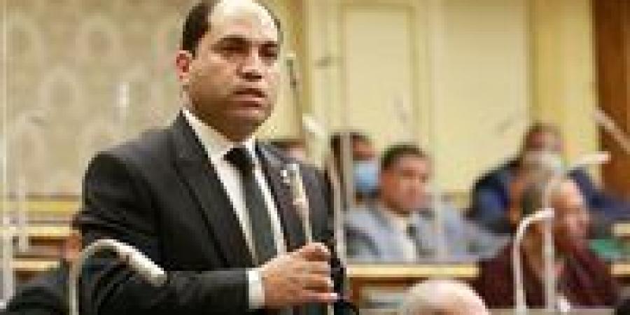 النائب عمرو درويش لتحيا مصر: بيان الرئيس يؤكد على حرصه في تطبيق العدالة بالعملية الانتخابية