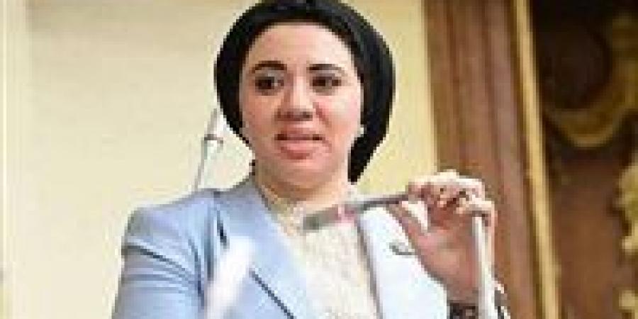 النائبة أميرة صابر لتحيا مصر: أؤيد مقترح إذاعة جلسات البرلمان لكن بضوابط