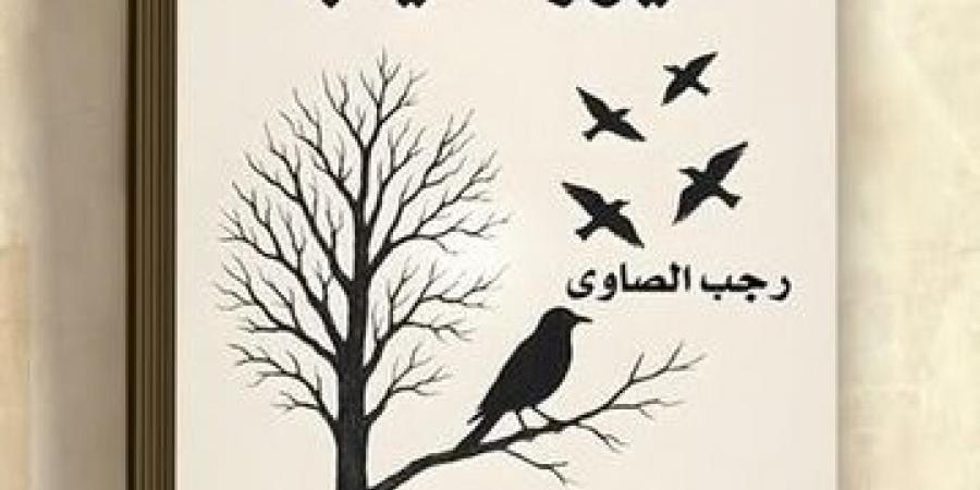 "طيور الغياب".. رحلة فى وجدان العامية المصرية وصوت حنين لا يهدأ