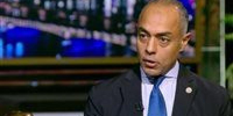 مدير الجهاز التنفيذي للهيئة الوطنية للانتخابات: هناك تقرير مبين به كافة الخروقات