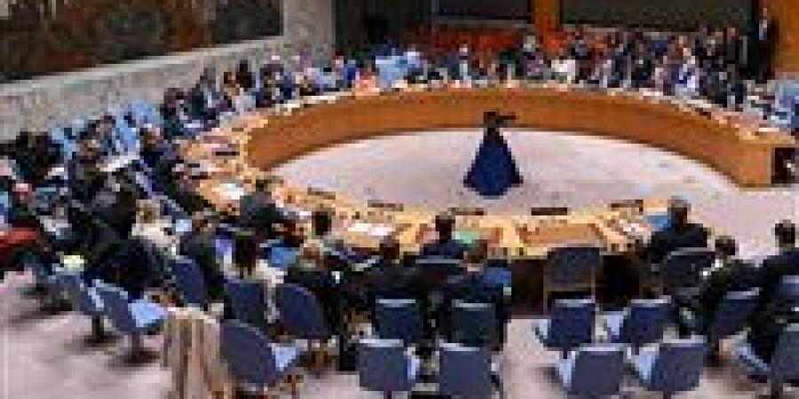 حماس ترفض قرار مجلس الأمن وتعتبره محاولة لعزل غزة عن فلسطين