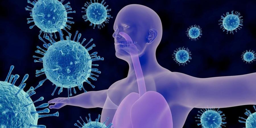 أفضل طرق تقوية المناعة في فصل الشتاء لتجنب نزلات البرد