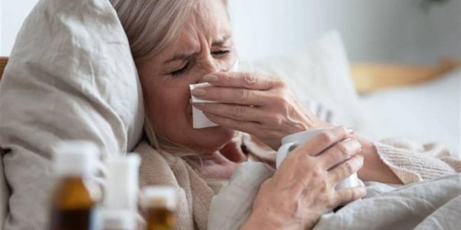 أطعمة شتوية تزيد مناعة الجسم وتحارب الإنفلونزا