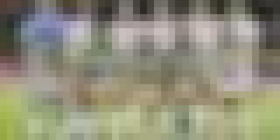 المنتخب الوطني يتجاوز نظيره السعودي بثنائية نظيفة