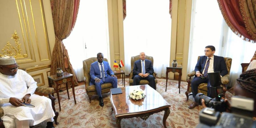 وزير الصناعة والنقل يشارك في اجتماعات اللجنة المصرية التشادية المشتركة.. تفاصيل مهمة