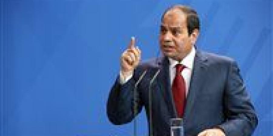 الرئيس السيسي: الوعي الانتخابي والعمل الجاد أساس تقدم مصر