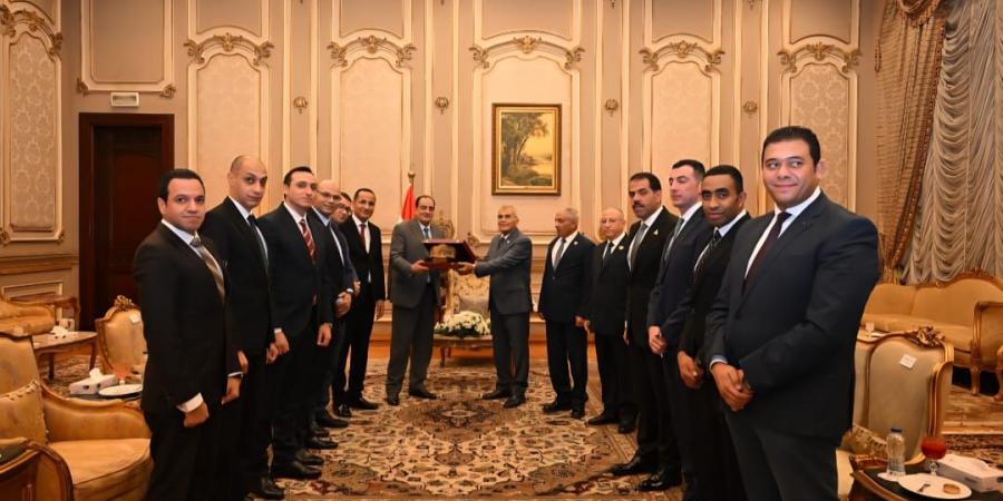 رئيس الشيوخ يستقبل سفير العراق بالقاهرة