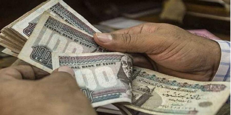 رسميا.. كيف تستعلم عن معاش ديسمبر 2025 بالرقم القومي