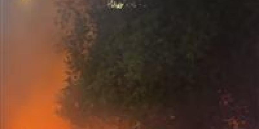 حريق بسبب ماس كهربائي يتسبب في نفوق 9 رؤوس ماشية بأطفيح