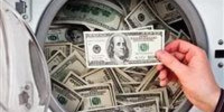 غسل 100 مليون جنيه.. سقوط عنصر إجرمي خطير في قبضة الداخلية