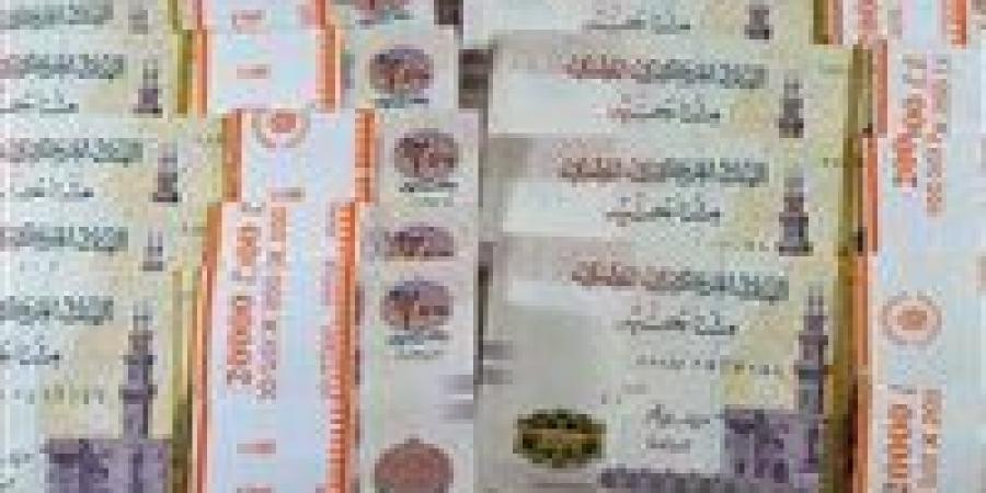 أعلى شهادة ادخارية في مصر بفائدة تصل إلى 100%