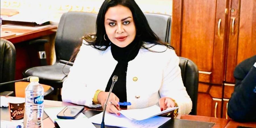 نيفين حمدي: إلغاء الانتخابات فى 19 دائرة قرار حكيم وينتصر لمبدًا الشفافية