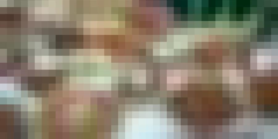 الصالون الدولي للتمور في طبعته الرابعة بين 25 و 27 نوفمبر بالجزائر