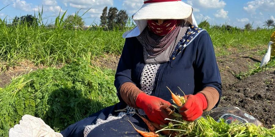 الحاجة عفاف تتحدى العادات وتعمل في الزراعة منذ 35 عامًا لإعالة أسرتها
