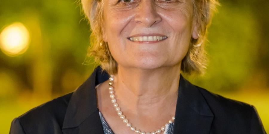 السبت.. معهد جوته ينظم يوم معلمي اللغة الألمانية بعنوان "الإنسان وراء المهنة"