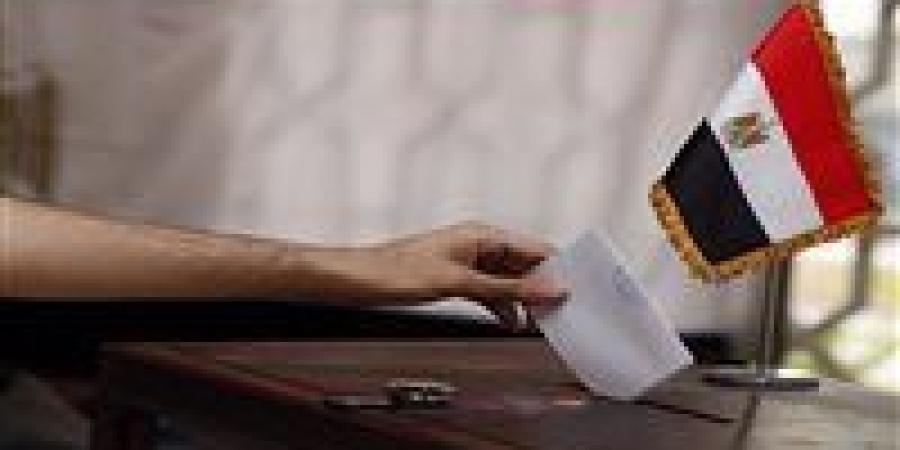 البداية من نيوزيلندا.. انطلاق المرحلة الثانية من انتخابات النواب في العاشرة مساءً اليوم