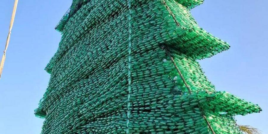 افتتاح أكبر أرزة في العالم قريبًا