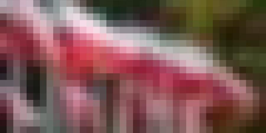 بولونيا تخصص أكثر من 100 ألف يورو للمساعدات الإنسانية للاجئين الصحراويين