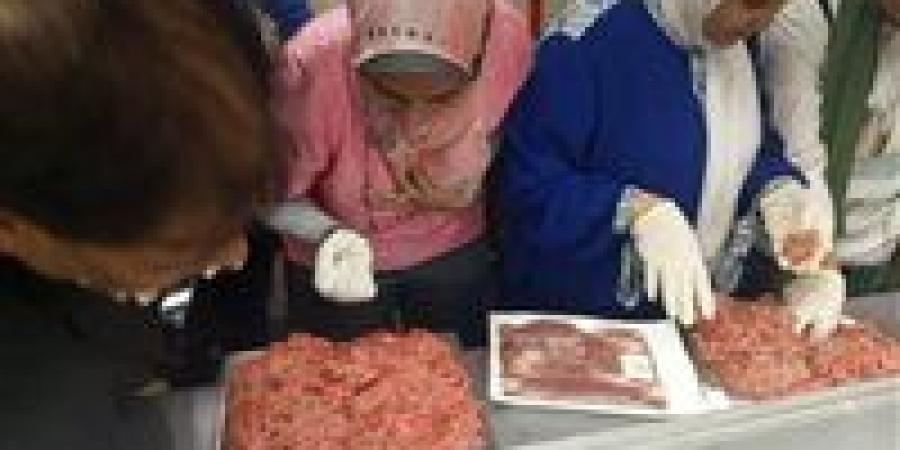 ضبط 89.5 كيلو دواجن غير صالحة للاستهلاك في مطعم بشارع المنشية بالأقصر