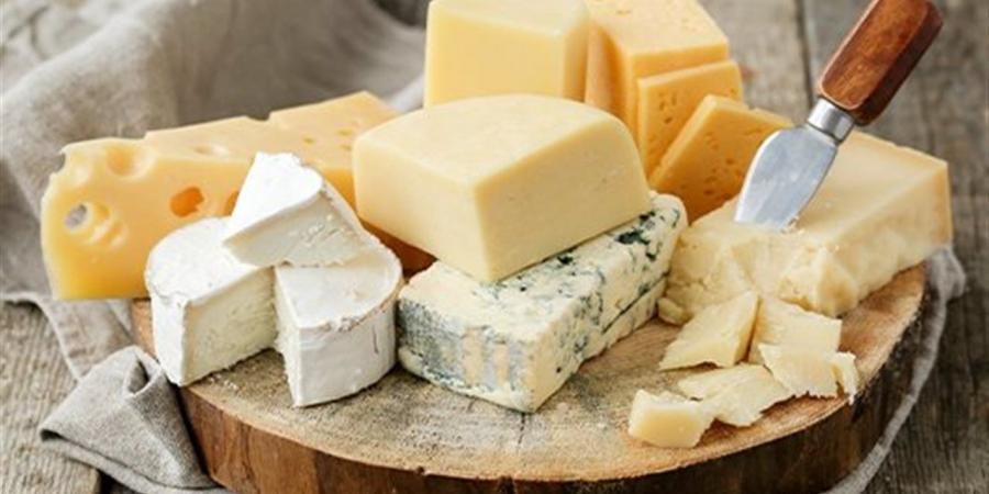 أسعار الأجبان بمحافظة الغربية اليوم الخميس 20 نوفمبر 2025