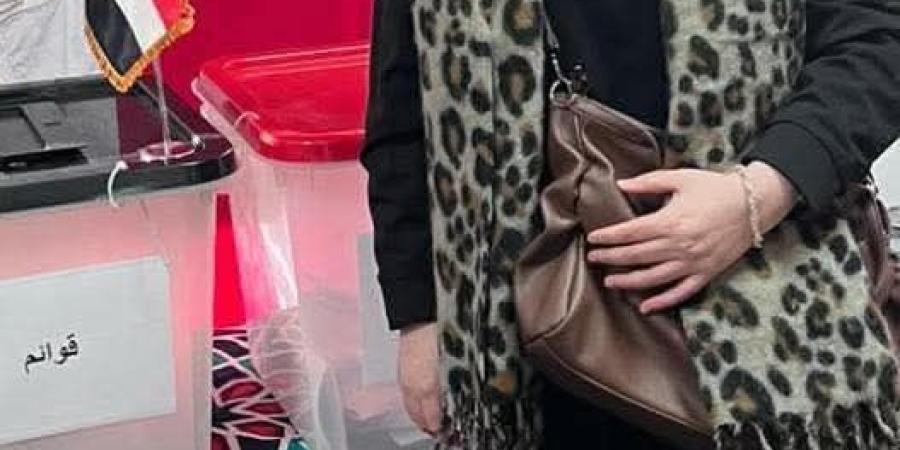 المصريون بألمانيا يواصلون الادلاء بأصواتهم في انتخابات مجلس النواب 2025