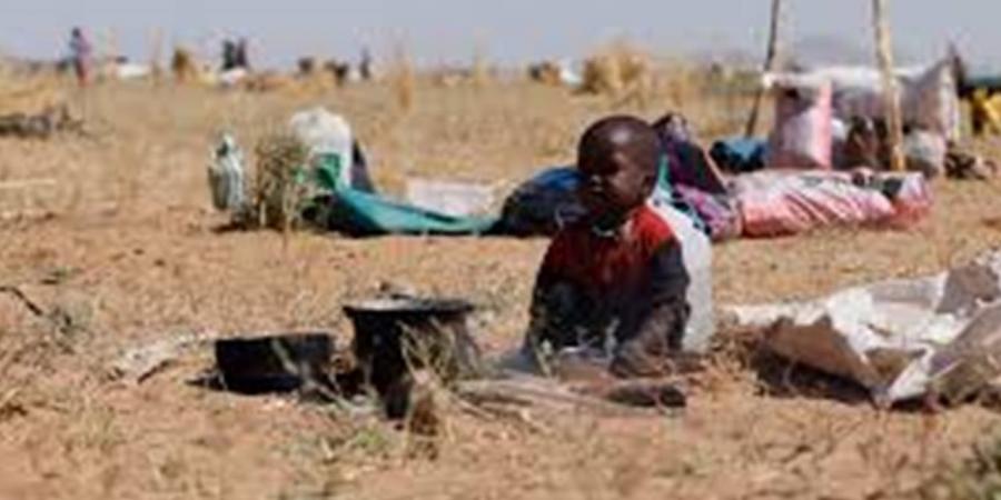 ناشطة سودانية لـ"الدستور": انتشار الجثث في شوارع الفاشر يهدد بكارثة والحرب دمرت النظام الصحي