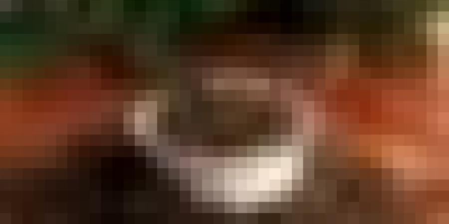 منها حماية الكبد.. إليك 11 فائدة صحية لمضغ القرنفل يومياً