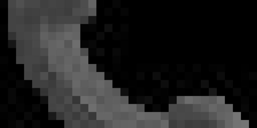 ضبط 10.7 أطنان لحوم فاسدة وتحرير 650 مخالفة في الأسواق والمخابز بمحافظة الدقهلية