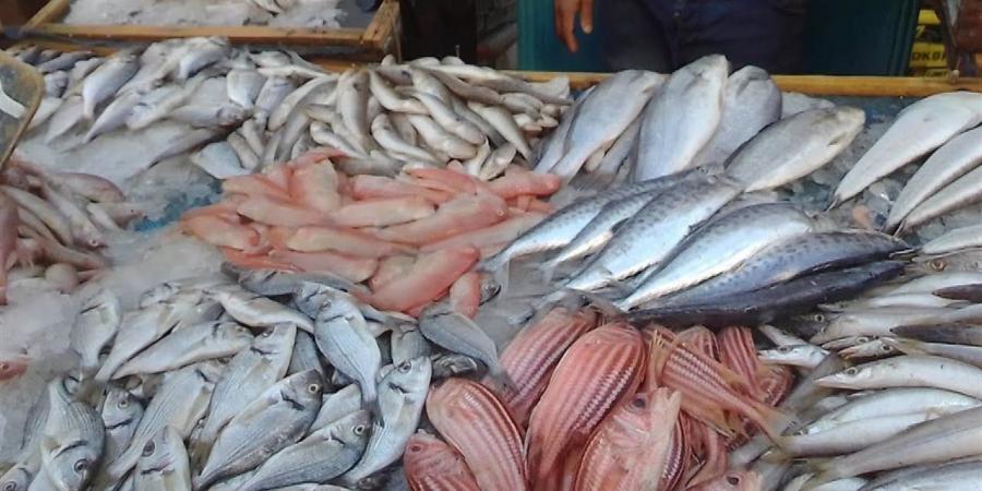 أسعار الأسماك في سوق الغردقة اليوم الجمعة 21 نوفمبر 2025