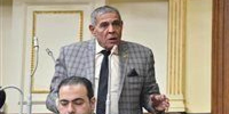 النائب أمين مسعود مرشح الشرابية والزاوية الحمرا.. سيرة ومسيرة تحت قبة البرلمان