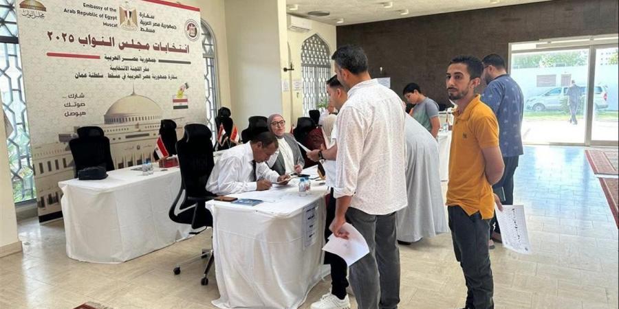 إقبال متدرج للمصريين بالولايات المتحدة على التصويت في انتخابات مجلس النواب 2025