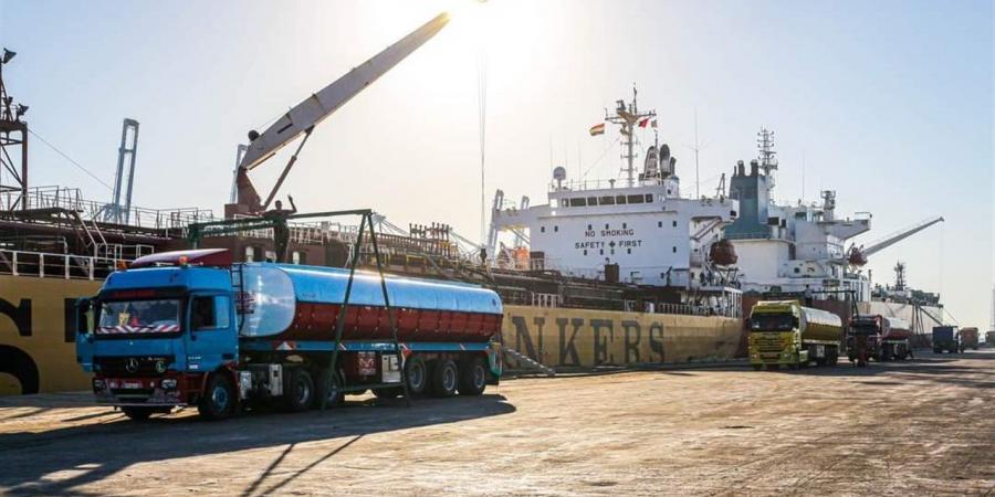 تداول 31 سفينة حاويات وبضائع بميناء دمياط خلال 24 ساعة