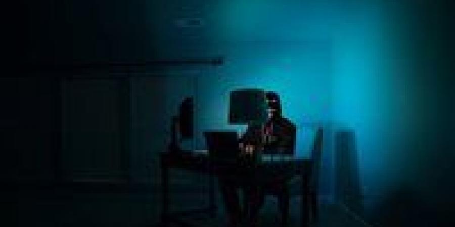 تأجيل محاكمة "فتى الدارك ويب" لـ27 ديسمبر