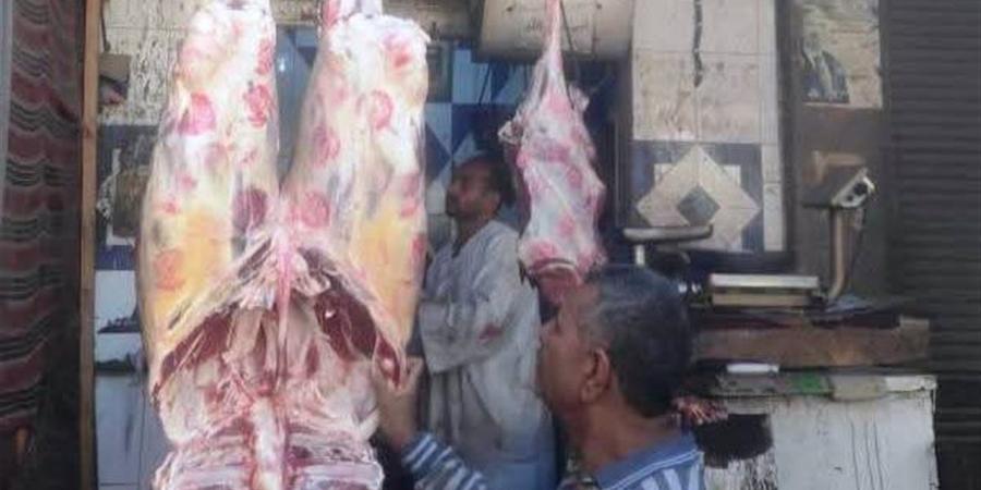 محافظ أسوان يتابع نتائج الحملات التفتيشية على الأسواق ومحلات الجزارة