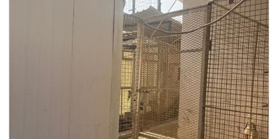 "غرفة الرعب".. تفاصيل الاعتداء الجنسى على 6 أطفال بمدرسة دولية (صور)