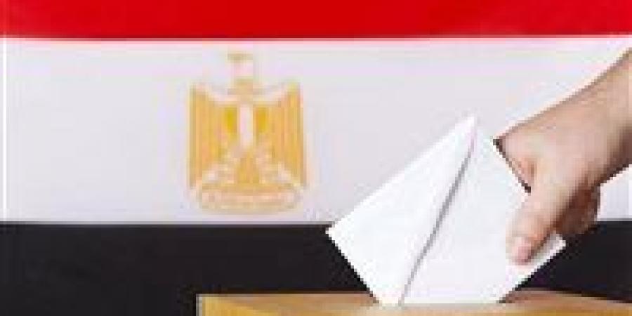 إقبال تاريخي للمصريين في الرياض وجدة خلال المرحلة الثانية من الانتخابات البرلمانية