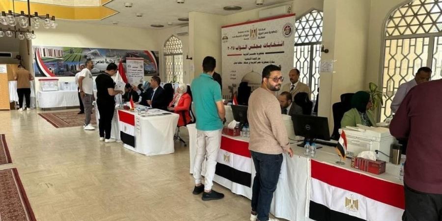 برلمان 2025.. انتهاء التصويت في 31 مقر انتخابي بالخارج