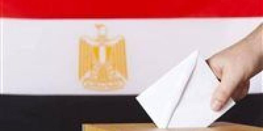 لليوم الثاني انطلاق التصويت في انتخابات مجلس النواب للمصريين بالخارج في 24 دولة بالمرحلة الثانية