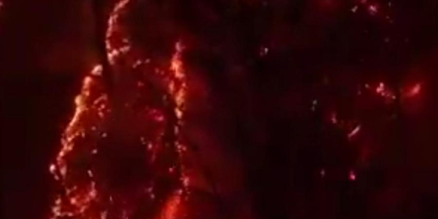 «عمرها 50 مليون سنة».. حريق ضخم يلتهم أقدم الغابات في العالم في إيران