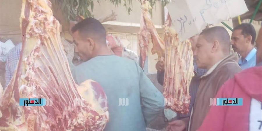 تموين المنيا: تحرير 240 مخالفة وضبط لحوم وكبدة فاسدة