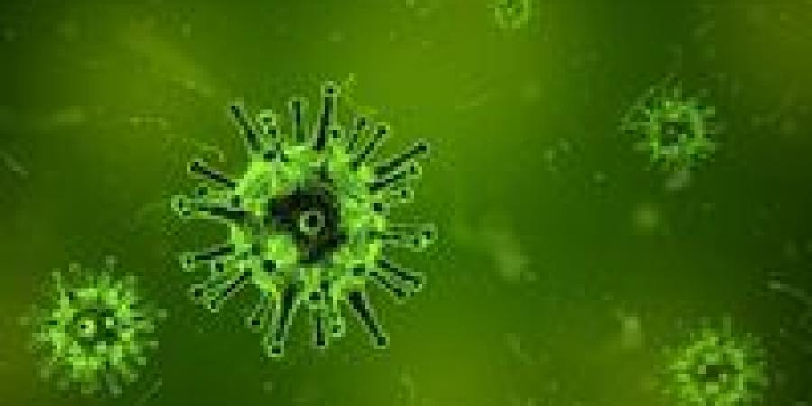 هل يوجد فيروس الماربورج في مصر.. الصحة تكشف التفاصيل