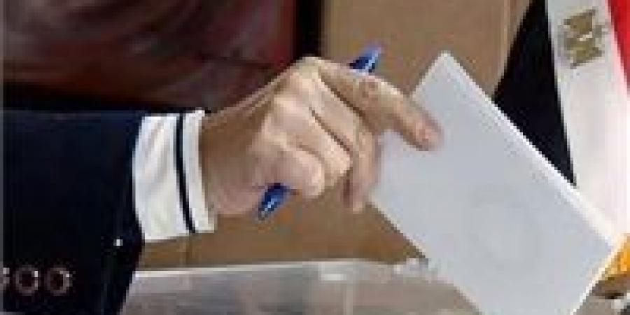 الحزب العربي الناصري يشكل غرفة عملية لمتابعة المرحلة الثانية لانتخابات مجلس النواب 2025