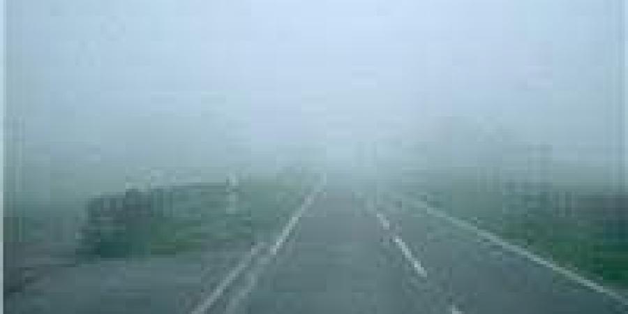 إرشادات القيادة الآمنة لتجنب مخاطر الشبورة